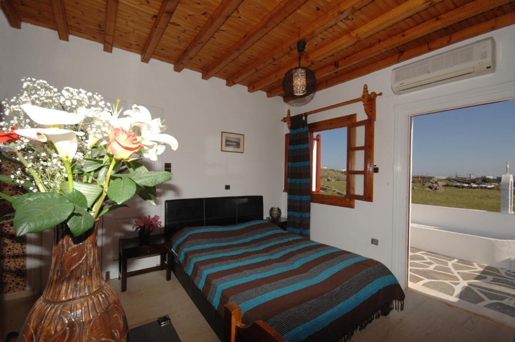 Villa Vasilis Mykonos Town Экстерьер фото